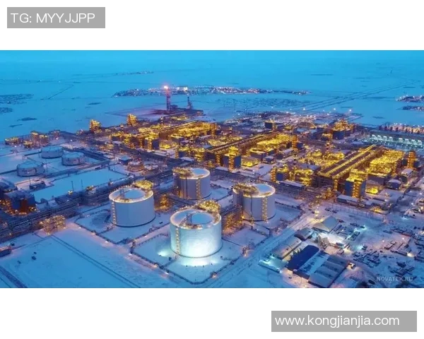 亚马尔地区的能源开发与国际合作前景分析与展望