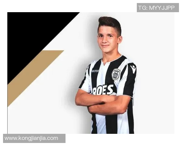 哈兰德：从天才少年到足球巨星的蜕变之路与未来展望