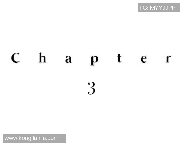 孙兴O在足球场上的传奇之路与未来发展展望