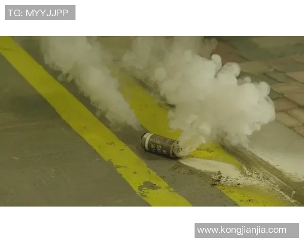 马赛主场欧冠赛后球迷冲突升级引发大规模斗殴事件