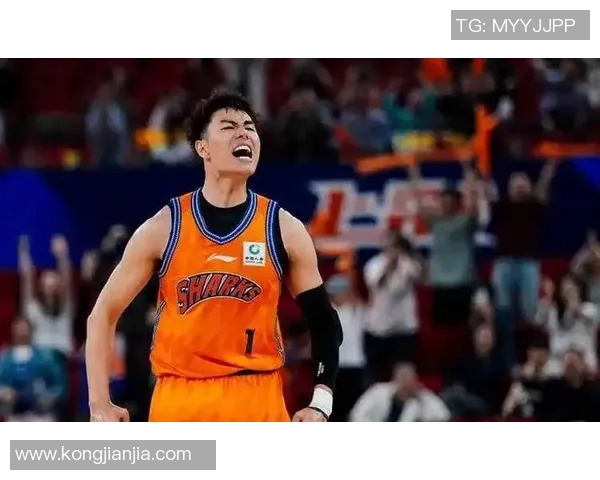 李添荣的奋斗历程与成就揭秘：从平凡到卓越的成长之路